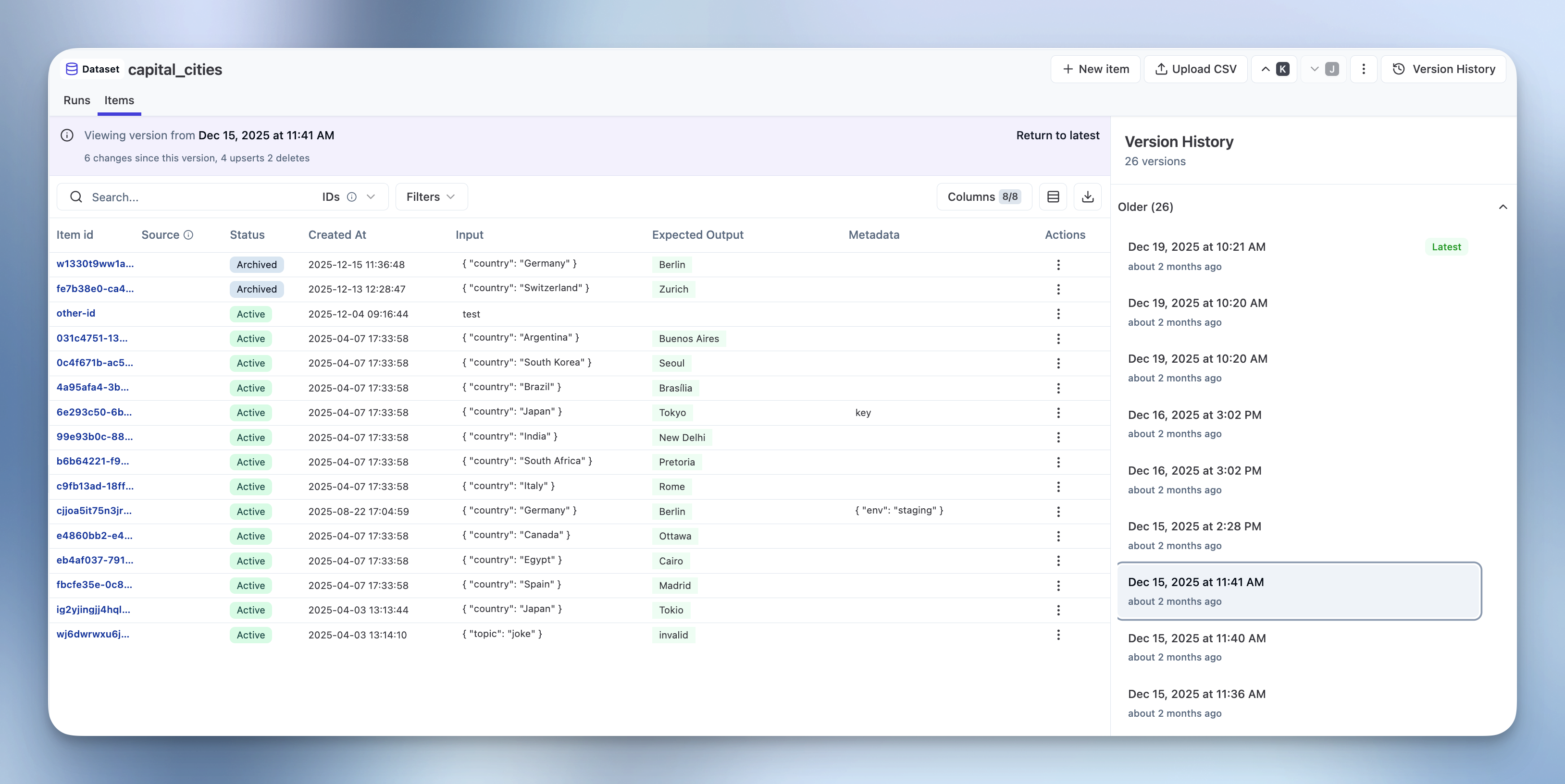 Dataset Version View