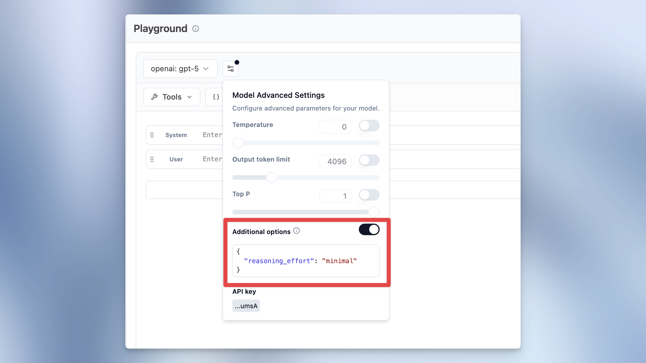 Additional provider options in LLM calls in playground and evals